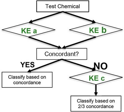 Standardisation and international adoption of defined approaches for skin sensitisation